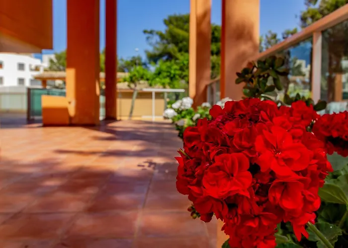 Lejlighed Realrent Mirador Al Mar *